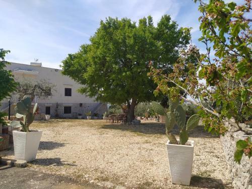 Da Gi� - Casa Vacanze A Locorotondo
