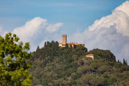 Apartamento Agriturismo Podere Pizzicagallo