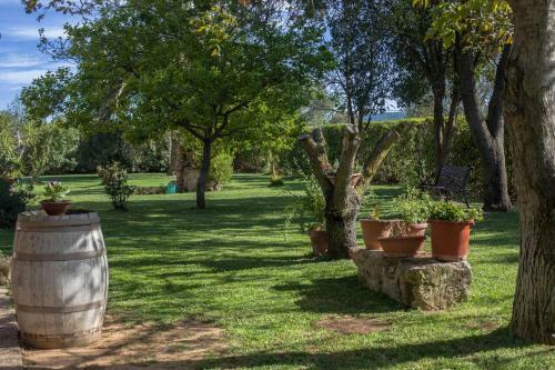Apartamento Agriturismo Podere Pizzicagallo