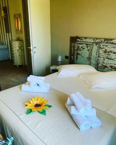 Apartamento Agriturismo Podere Pizzicagallo