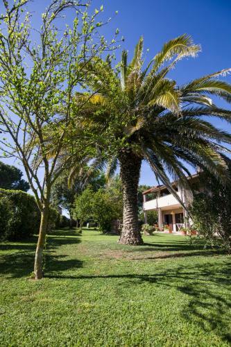 Apartamento Agriturismo Podere Pizzicagallo
