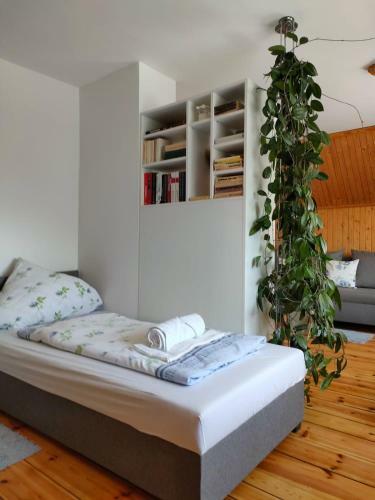 Apartamento Na Poddaszu