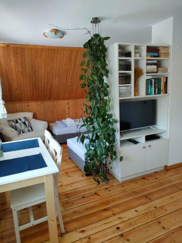 Apartamento Na Poddaszu