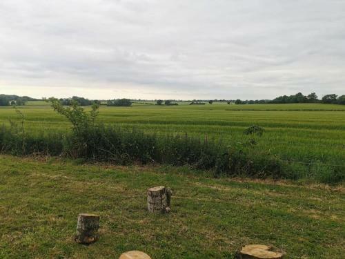 Glamping Bell Tent 4m - Sleeps Upto 4