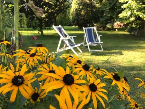 Hostal Camera In Riviera A Met� Fra Venezia E Padova