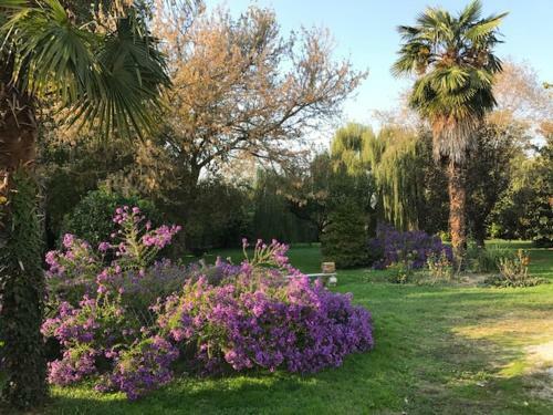 Hostal Camera In Riviera A Met� Fra Venezia E Padova