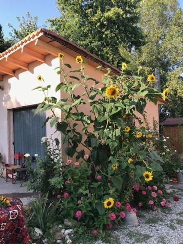 Hostal Camera In Riviera A Met� Fra Venezia E Padova