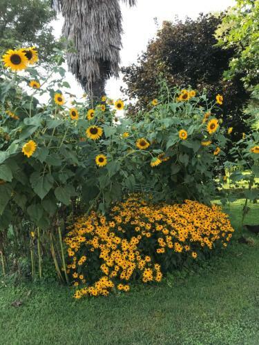 Hostal Camera In Riviera A Met� Fra Venezia E Padova