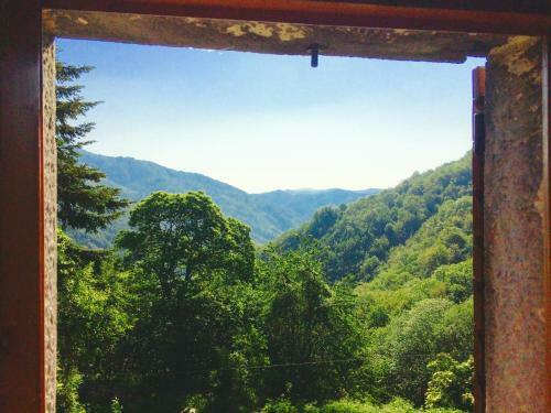 B&B La Presa