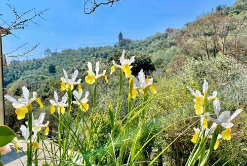 Colline D'argento