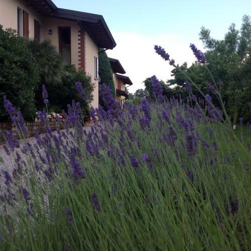 Apartamento Casale El Galet