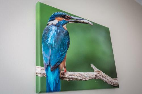 Bed & Breakfast Willa Boconek - Zator Przecisz�w