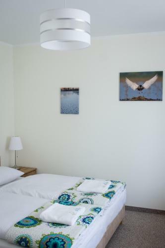 Bed & Breakfast Willa Boconek - Zator Przecisz�w