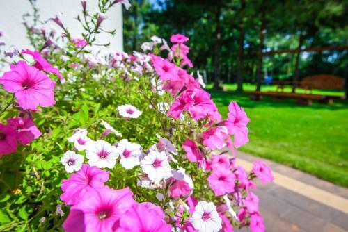 Bed & Breakfast Willa Boconek - Zator Przecisz�w