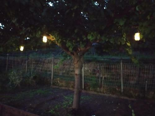 Apartamento Agriturismo Terre Verae