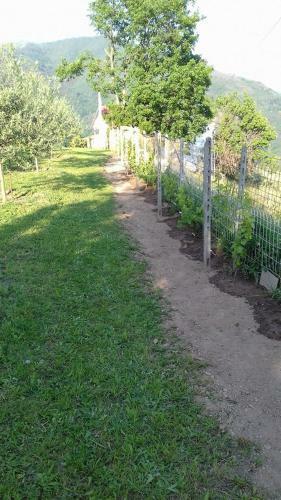 Apartamento Agriturismo Terre Verae