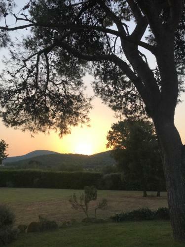 Villa Superb Cottage In Tuscany's Maremma