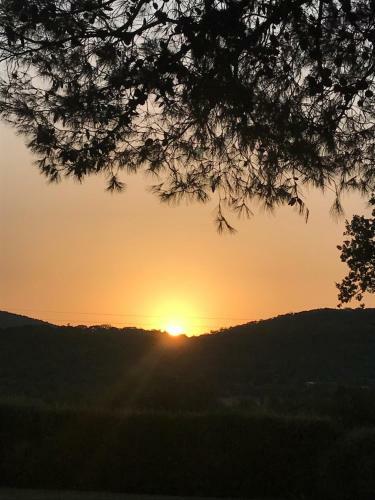 Villa Superb Cottage In Tuscany's Maremma