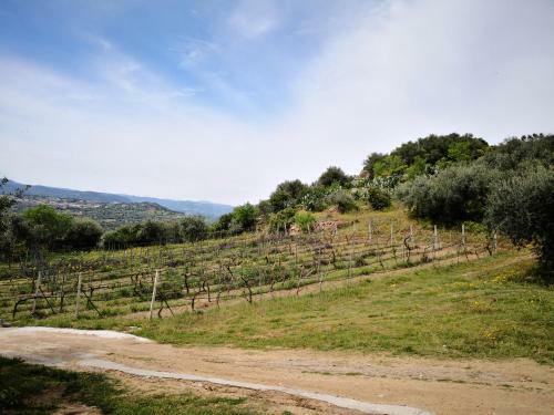 Agroturismo Villa L'oleandro