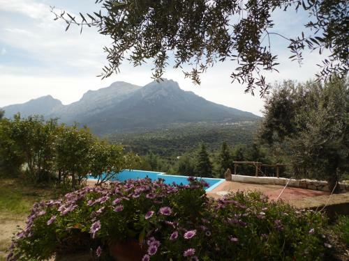 Agroturismo Villa L'oleandro