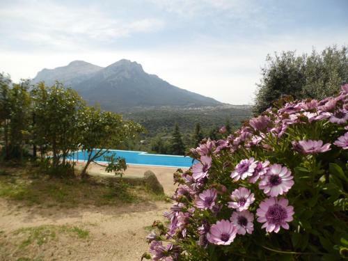 Agroturismo Villa L'oleandro