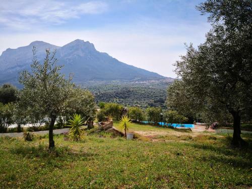 Agroturismo Villa L'oleandro