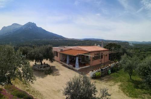 Agroturismo Villa L'oleandro