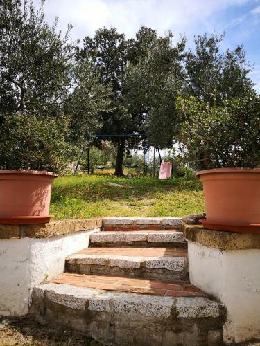 Agroturismo Villa L'oleandro