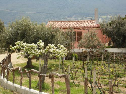 Agroturismo Villa L'oleandro
