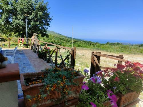 La Casa In Campagna