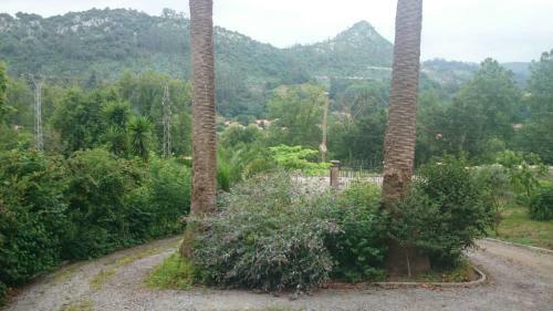 Hotel B&B El Jard�n De Aes