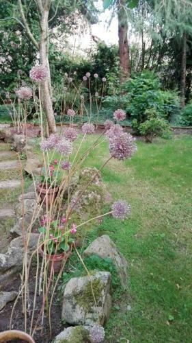 Hotel B&B El Jard�n De Aes