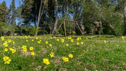 Villa Giulio B&B Dimora Storica