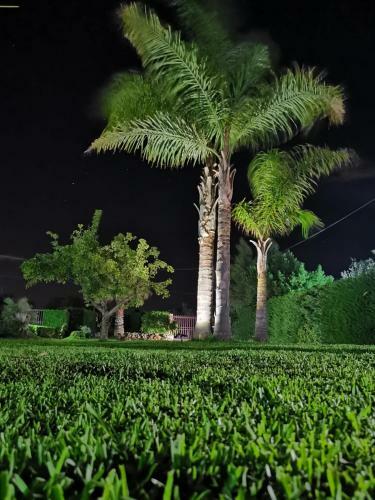 Giardino Verderame