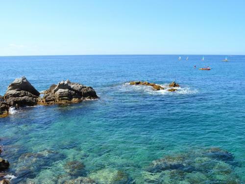 Apartamento Appartements Sol Y Mar Cala Llevado