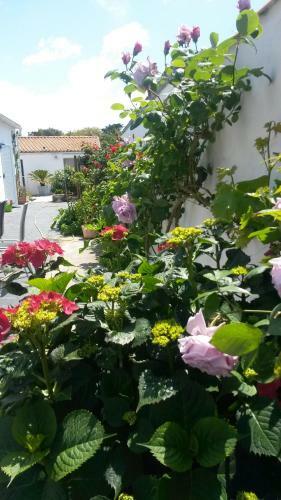 Bed & Breakfast Chambre D'h�tes Caline