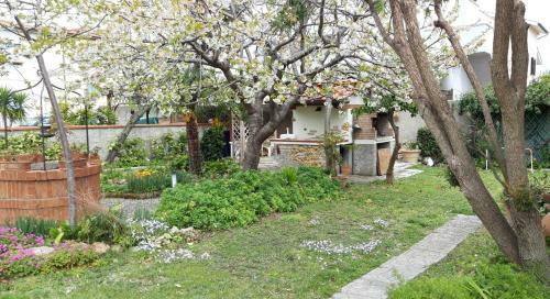Bed & Breakfast Room Garden