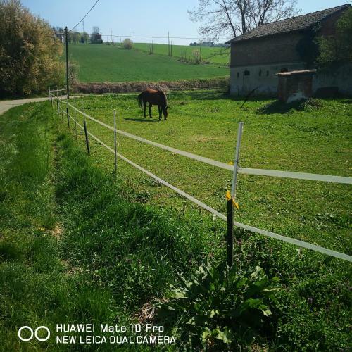 Apartamento Valenza Gold