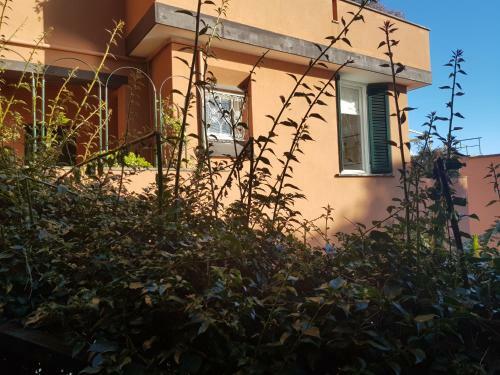 Apartamento Charming Flat