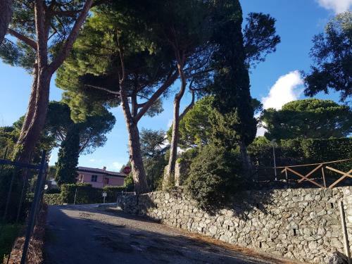 Apartamento Charming Flat