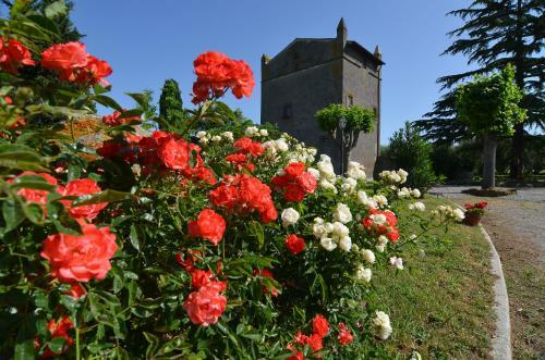 Agroturismo Magica Torre Medievale