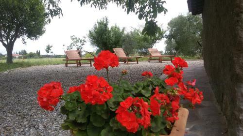 Agroturismo Magica Torre Medievale