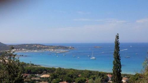 La Mimosa Sul Mare