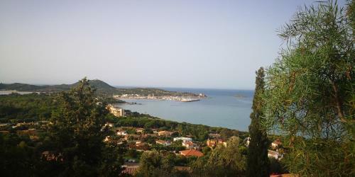 La Mimosa Sul Mare