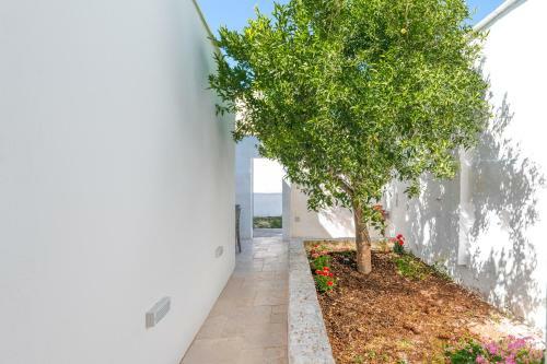 Apartamento Il Giardino Del Mandarino House