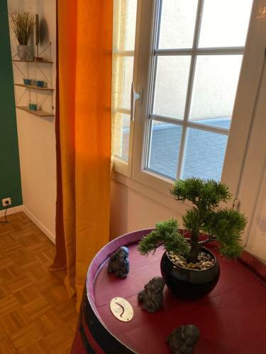 Apartamento Le Rhin Et Danube Wifi