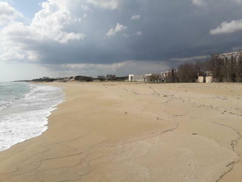 Apartamento Casa Via Delle Zinnie