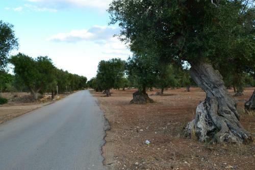 Apartamento Casa Via Delle Zinnie