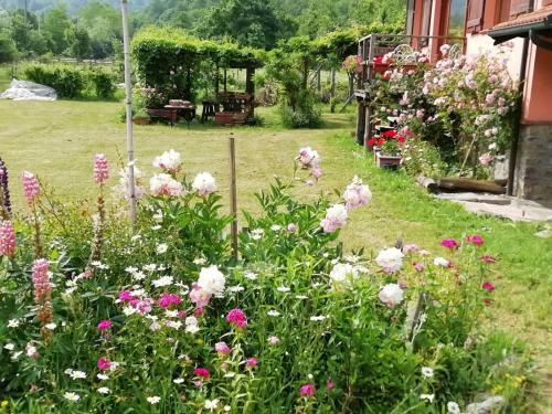 Bed & Breakfast Il Pettirosso Di Giusvalla