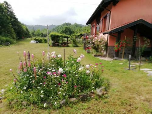 Bed & Breakfast Il Pettirosso Di Giusvalla